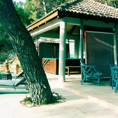 Roncevic- Vila Virida Vila